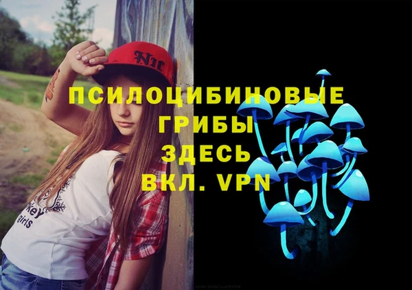 2c-b Богородск