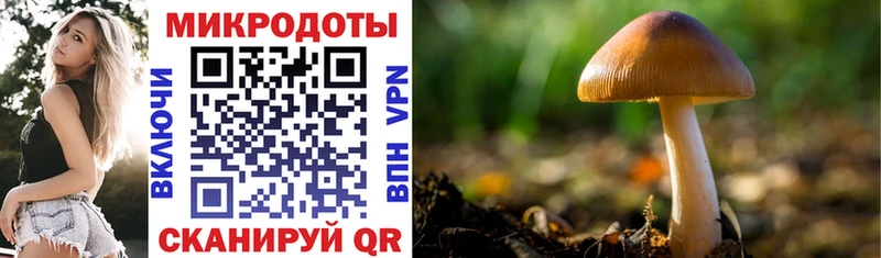 Псилоцибиновые грибы GOLDEN TEACHER  Донской 